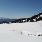 Lisa e Michele in Val di Fiemme